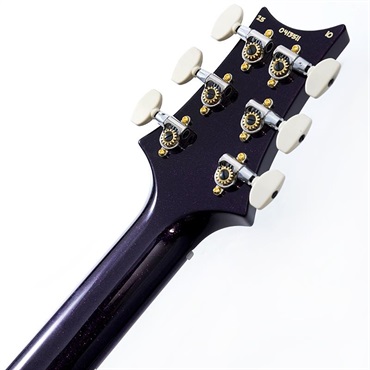 P.R.S. Custom 24 10 Top (Custom Color) SN.0413511 【2025年生産品】 画像9