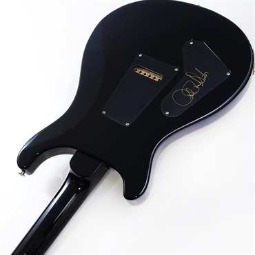 P.R.S. Custom 24 (Custom Color) SN.0415724 【2025年生産品】 画像6