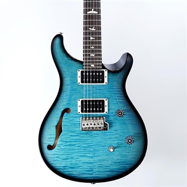 P.R.S. CE 24 Semi-Hollow (Custom Color) SN.0409320 【2025年生産品】 画像10