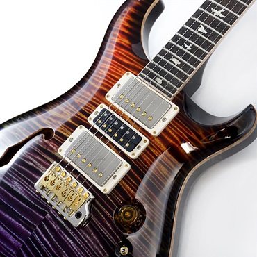 P.R.S. Private Stock #11511 Custom 24-08 Brazilian Rosewood Fingerboard (Zombie Smokeburst) 画像3