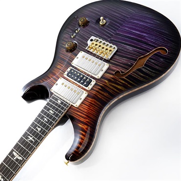 P.R.S. Private Stock #11511 Custom 24-08 Brazilian Rosewood Fingerboard (Zombie Smokeburst) 画像5