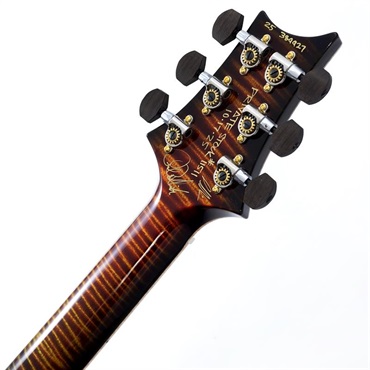 P.R.S. Private Stock #11511 Custom 24-08 Brazilian Rosewood Fingerboard (Zombie Smokeburst) 画像9