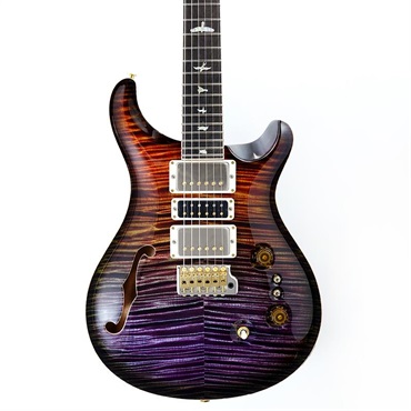 P.R.S. Private Stock #11511 Custom 24-08 Brazilian Rosewood Fingerboard (Zombie Smokeburst) 画像10