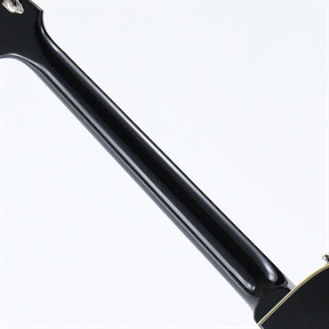 Duesenberg DTV-DLX-BK Starplayer TV Deluxe (Black) 【特価】 画像7