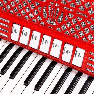 unknown USED 中古 PIERMARIA 206 Vintage Red (イタリア製アコーディオン) (純正ロゴ入りハードケース付) ピエルマリア 画像2