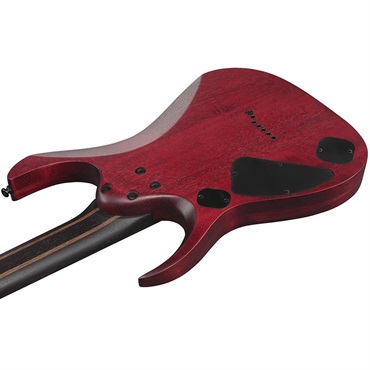 Ibanez RGD721FA-WUF (Stained Wine Red Burst Flat) [SPOT MODEL] 画像3