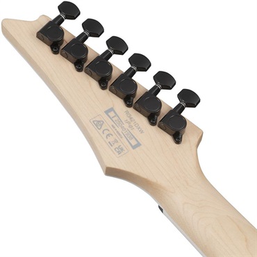 Ibanez RG421DX-TWS (Twilight Shade) [SPOT MODEL] 画像5
