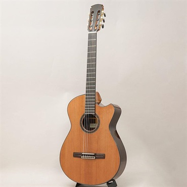 FUJII GUITARS Jazz Nylon-scw Western Red Cedar/Indian Rosewood フジイギターズ 画像2