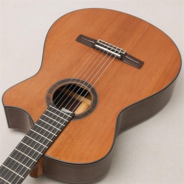 FUJII GUITARS Jazz Nylon-scw Western Red Cedar/Indian Rosewood フジイギターズ 画像4