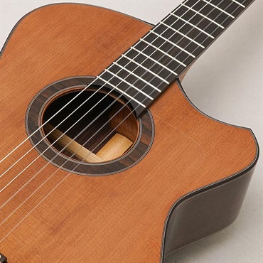 FUJII GUITARS Jazz Nylon-scw Western Red Cedar/Indian Rosewood フジイギターズ 画像6