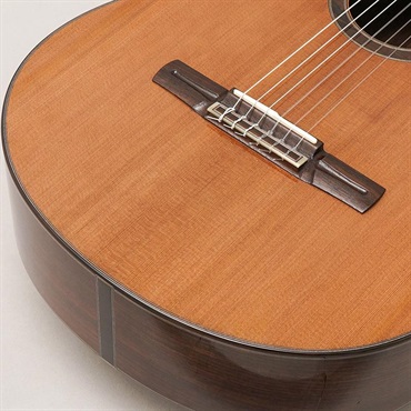 FUJII GUITARS Jazz Nylon-scw Western Red Cedar/Indian Rosewood フジイギターズ 画像7