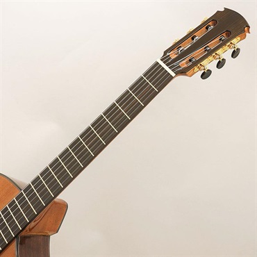 FUJII GUITARS Jazz Nylon-scw Western Red Cedar/Indian Rosewood フジイギターズ 画像8