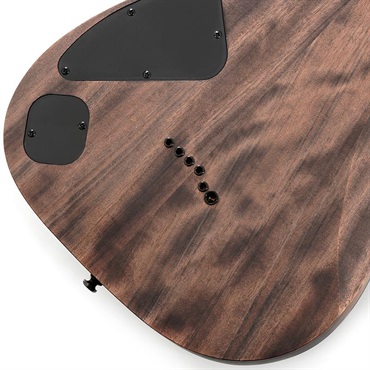 Ibanez RGD621AH-MNF (Midnight Shade Flat) [SPOT MODEL] 画像7