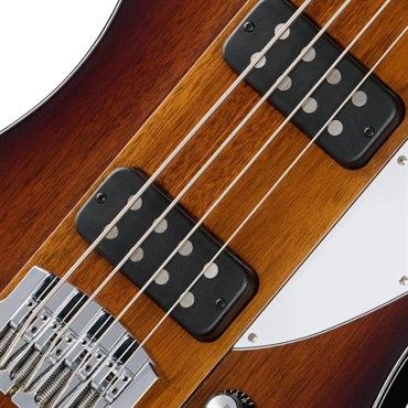 Gibson Thunderbird (Tobacco Burst Perimeter) 画像4
