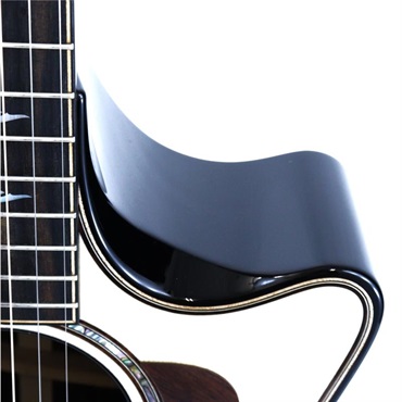 TAYLOR Next Generation Builder's Edition 814ce テイラー 画像7