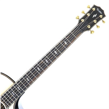 TAYLOR Next Generation Builder's Edition 814ce テイラー 画像8