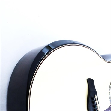 TAYLOR Next Generation Builder's Edition 814ce テイラー 画像10