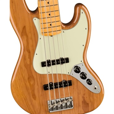 Fender USA American Professional II Jazz Bass V (Roasted Pine/Maple) 【生産完了品】 【特価】 【夏先取り大特価セール】 画像2