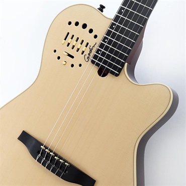Godin Multiac Nylon Deluxe 展示限定OUTLET！ 画像3