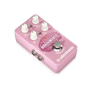 tc electronic BRAINWAVES PITCH SHIFTER 画像1