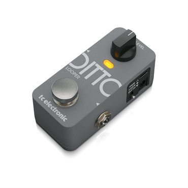 tc electronic DITTO 2 LOOPER 画像2