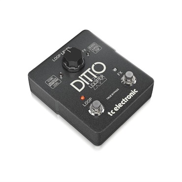 tc electronic DITTO X2 LOOPER 画像1