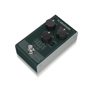 tc electronic GAUSS TAPE ECHO 画像2