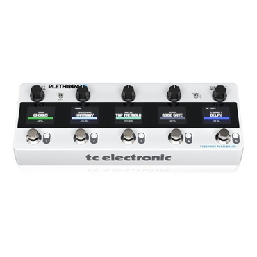tc electronic PLETHORA X5 画像1
