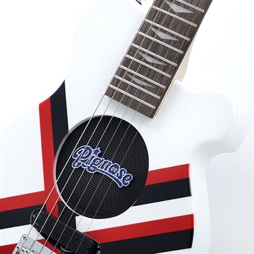 PIGNOSE PGG-JAIL RS 画像3