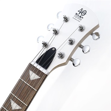 PIGNOSE PGG-JAIL RS 画像6