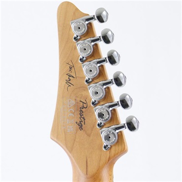 Ibanez TQMS1-CTB (Celeste Blue) [Tom Quayle Model] 画像8