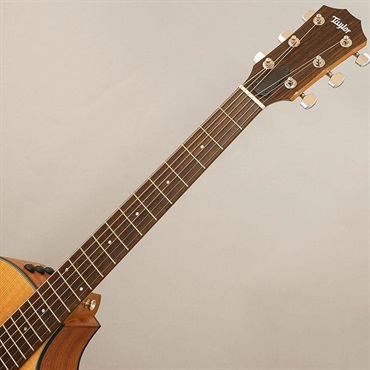 TAYLOR 【期間限定！アクセ11点セット付き！】112ce テイラー 画像8