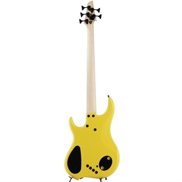 DINGWALL Lee Sklar Signature LSS5-FY with Rupert Neve Onboard Preamp [2026 NAMM Model] 画像6