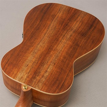 MATON EBG808 Artist メイトン 画像5