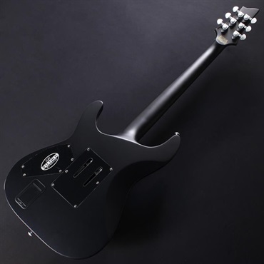 SCHECTER DAMIEN PLATINUM-6 FR [AD-DM-PTM-FR] (SBK) #W25081340 画像5