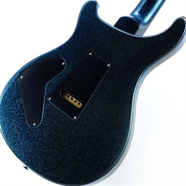 P.R.S. Custom 24 Piezo (Custom Color) SN.0419110 2025年生産品 画像7