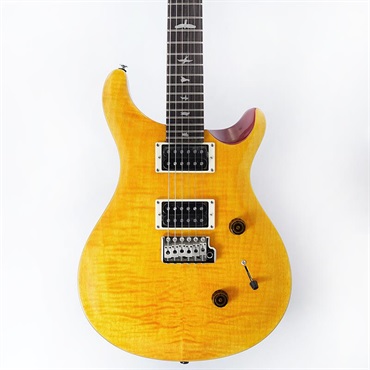 P.R.S. SE Custom 24 (Vintage Yellow) SN.H021775 2025年生産品 画像10