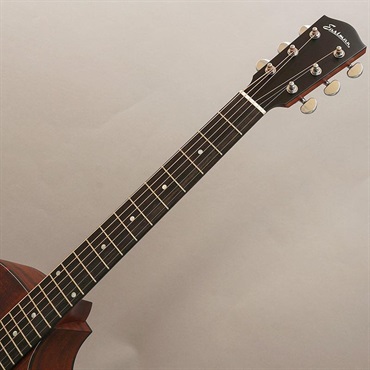 EASTMAN AC122-1CE CLA イーストマン 画像8