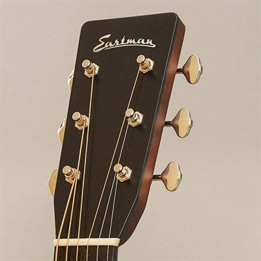 EASTMAN E10D-TC イーストマン 画像10