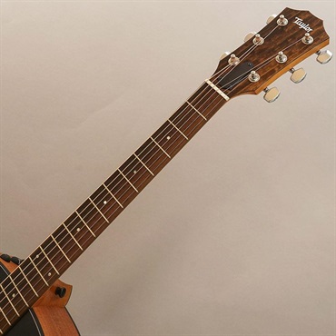 TAYLOR Japan LTD 117ce Blacktop テイラー 画像8