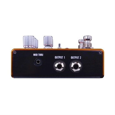 SOURCE AUDIO SA281 PATHWAYS [Reverb + Tremolo] 画像2
