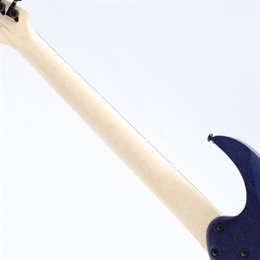 Ibanez RGA42FM-BLF (Blue Lagoon Burst Flat) 【B級特価】 画像6