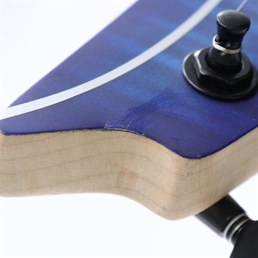 Ibanez RGA42FM-BLF (Blue Lagoon Burst Flat) 【B級特価】 画像9