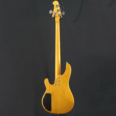 Alusonic Aluminum Instruments USED 中古 DJANGO 4 2H Natural 画像3
