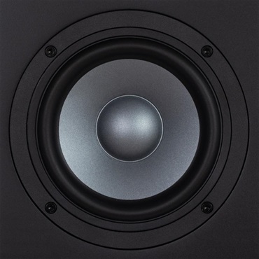 EVE Audio EXO 25 (1本)(イヴオーディオ)(モニタースピーカー)(EXOシリーズ)(ニアフィールド)(5インチ)(2ウェイ) 画像4