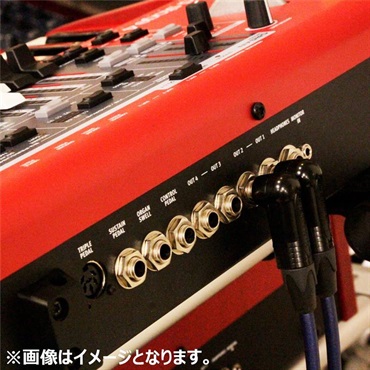 Noah’sark PASSGO BLUE TS PHONE Cable (5.0m)(パスゴーブルー)(ラインケーブル/ギターケーブル/楽器用ケーブル)(Phone-Phone)(6.3(2極)-6.3(2極)， ｽﾄﾚｰﾄ-ｽﾄﾚｰﾄ)(日本製) 画像8