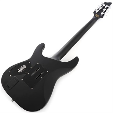 SCHECTER DAMIEN PLATINUM-6 FR [AD-DM-PTM-FR] (SBK) 画像2