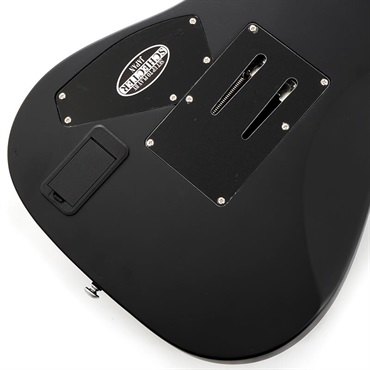 SCHECTER DAMIEN PLATINUM-6 FR [AD-DM-PTM-FR] (SBK) 画像7