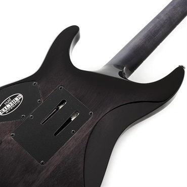 SCHECTER Hellraiser Hybrid C-1 FR [AD-C-1-FR-HR-HB] (TBB) 画像5