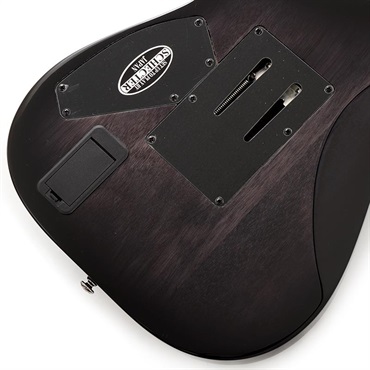 SCHECTER Hellraiser Hybrid C-1 FR [AD-C-1-FR-HR-HB] (TBB) 画像7